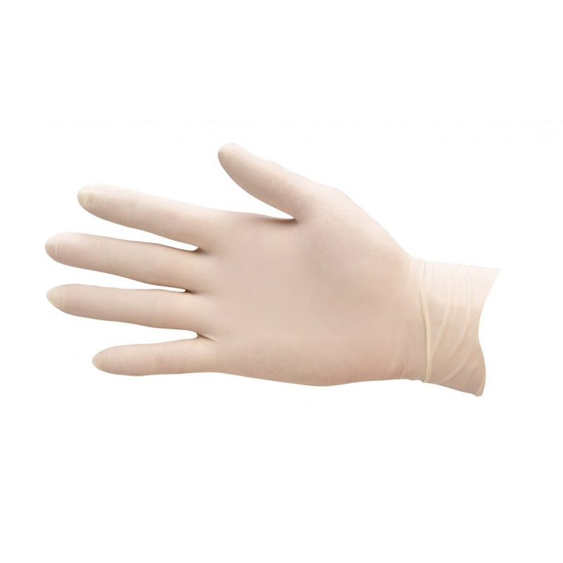 Securitex LP - Latex Examination Glove