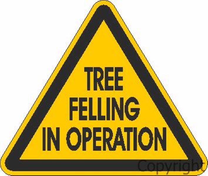 Tree Felling In Operation Sign