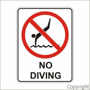 No Diving Sign W/ Picture